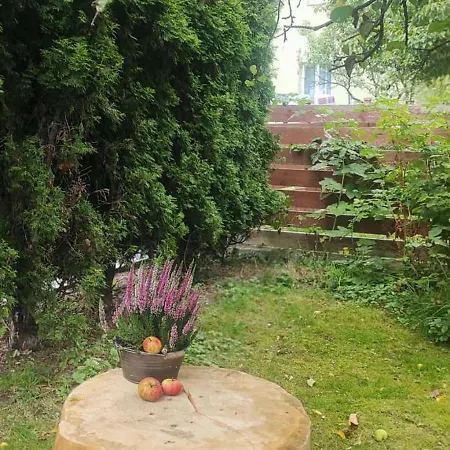 W Sadzie Apartment Rajcza