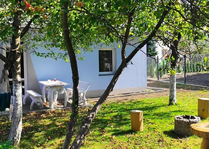 W Sadzie רייצ'ה