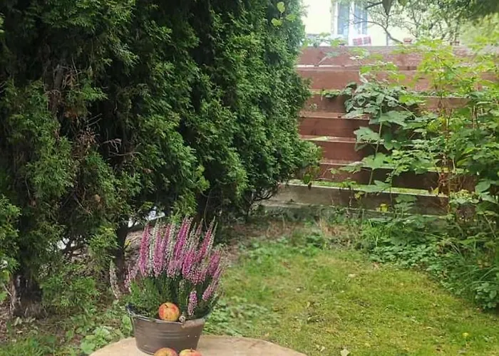 W Sadzie דירה רייצ'ה